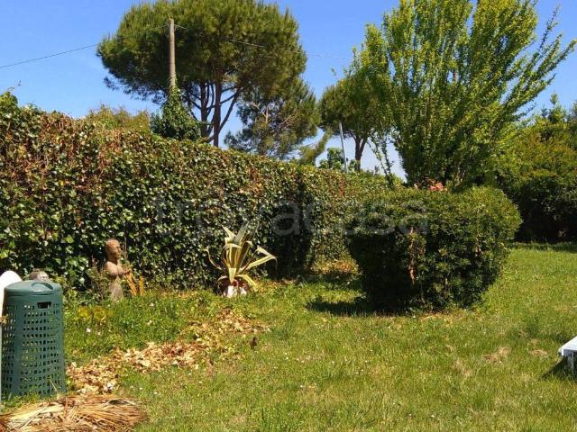 Casale in in affitto da privato a Piombino località Le Scope, giardino, da privato, caminetto TrovaCasa