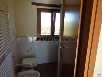 Casale in in affitto da privato a Treia contrada Carreggiano, da privato, riscaldamento autonomo, panoramica TrovaCasa