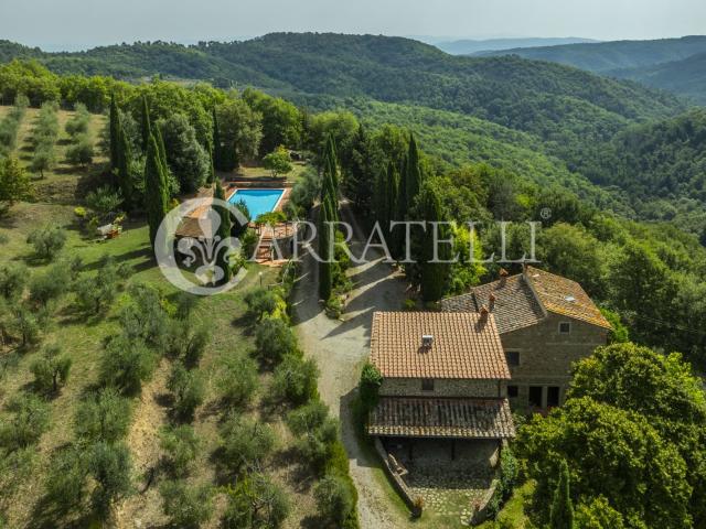Casale in pietra con 30 ettari di terreno e piscina panorami. 260m² Gaiole in Chianti