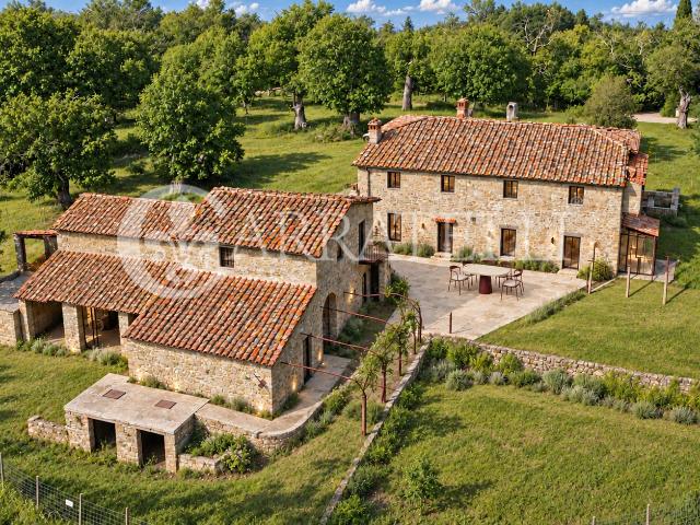 Casale in pietra da ristrutturare con 12 ettari e vista pano. 570m² Greve in Chianti