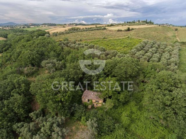 Casale la Musica a Pienza 113m² Pienza