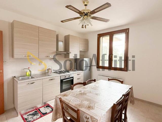 Casale strada provinciale Montelattaia snc, Roccastrada