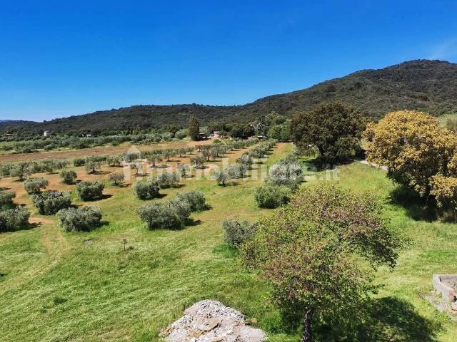 Casale Strada Vicinale di Cacciagrande, Tirli, Vetulonia, Buriano, Castiglione della Pescaia