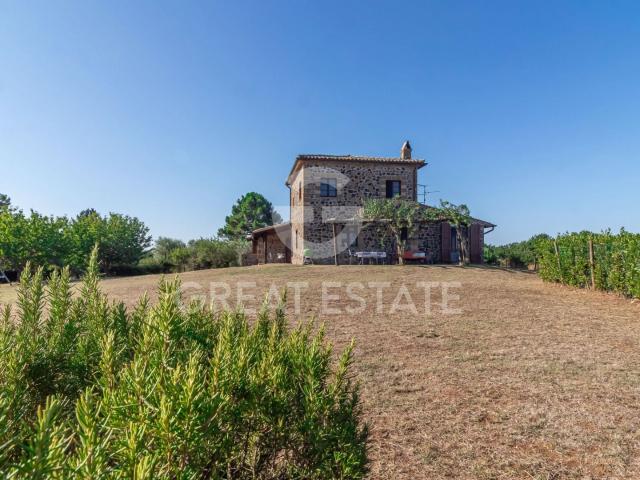 Casale Poggio Olivella 356m² Orvieto