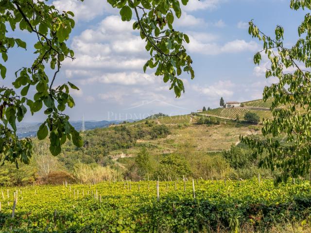 Casale panoramico a Loazzolo 210m² Loazzolo
