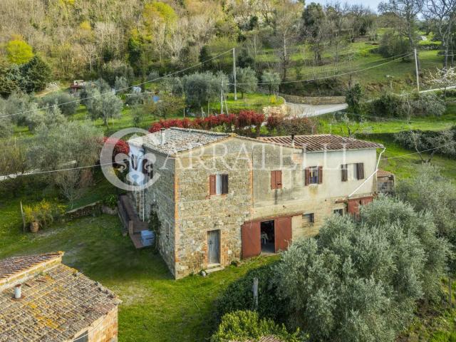 Casale panoramico con annessi per un totale di 760 mq circa. 760m² Montalcino