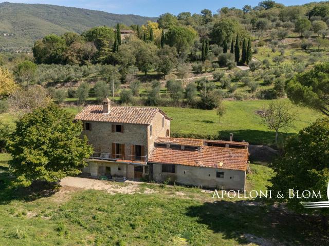 Casale panoramico da ristrutturare con giardino Tuoro sul. 256m² Tuoro sul Trasimeno