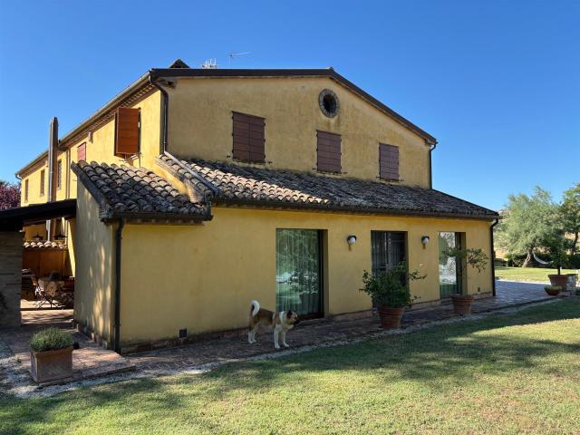 Prestigioso Casale nel Parco del Conero con Uliveto e Sauna. 280m² Camerano