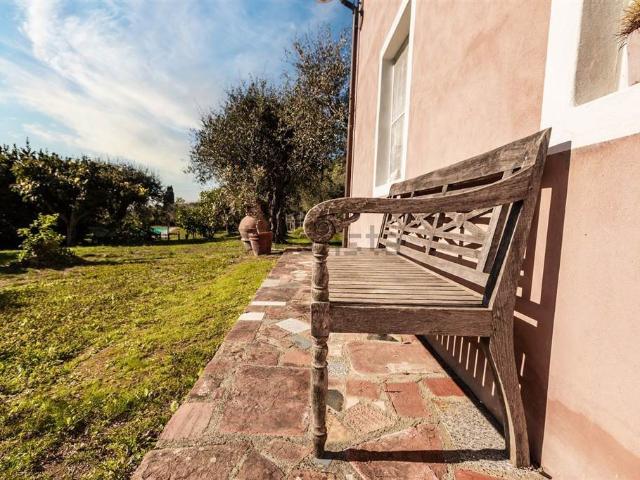 Casale provenzale in Toscana. Tra gli ulivi e il mare. Se se. 300m² Massarosa