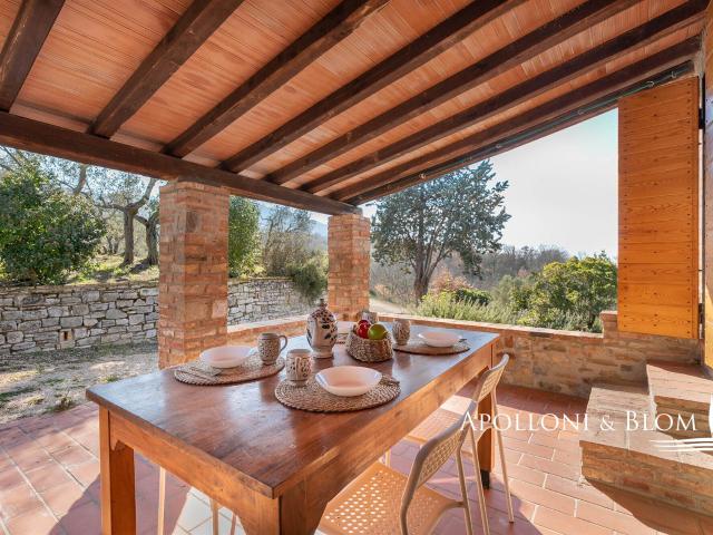 Casale ristrutturato con piscina e uliveto Paciano 396m² Paciano