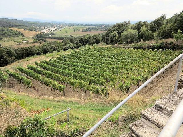 Casale ristrutturato con vista panoramica parco e piscina in. 250m² Massa Marittima
