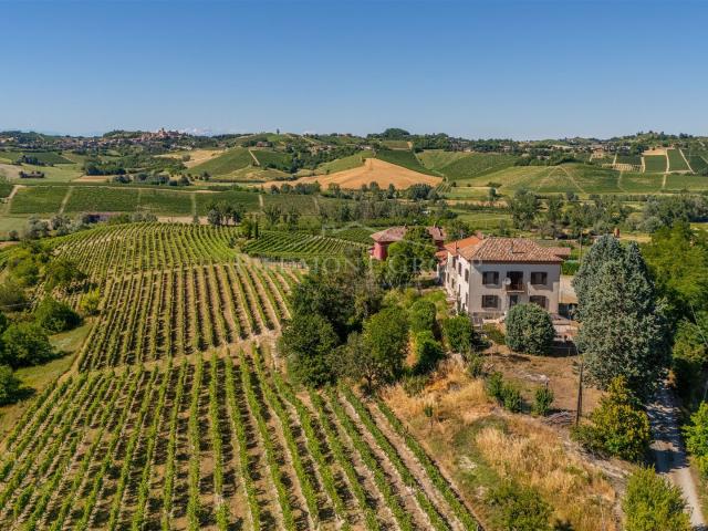 Casale tra i vigneti 306m² San Marzano Oliveto