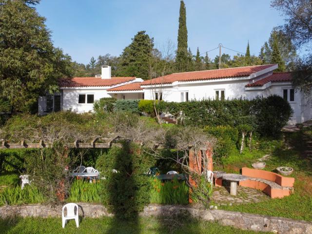 Casa/Moradia em Azeitão São Lourenço e São Simão