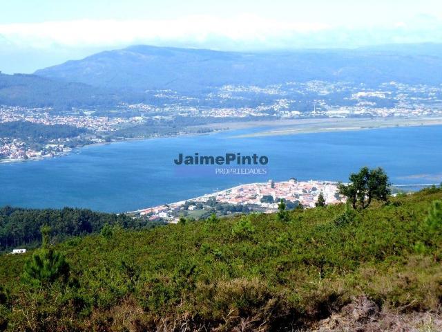 Casas de 3 e 4 quartos em terreno de 9.000m2. Portugal, Viana do Castelo, Caminha