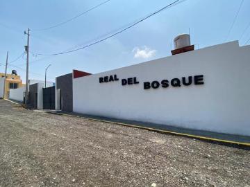 San Miguel Contla, Santa Cruz Tlaxcala, Tlaxcala