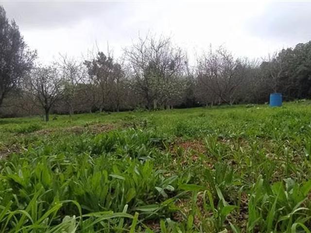 Casas en arriendo en Talagante | Casa en parcela de 5.141m2 requisitos en la descripcion 3 dormitorios por CLP 1250. 00