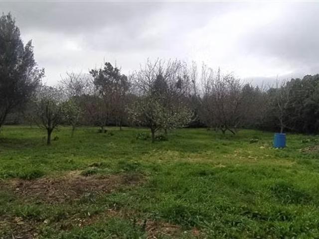Casas en arriendo en Talagante | Casa en parcela de 5.141m2 requisitos en la descripcion 3 dormitorios por CLP 1490. 00