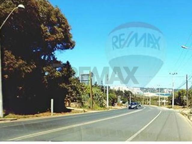 Casas en arriendo en Algarrobo | Dpto hermoso de 1d 1b algarrobo 1 dormitorios por CLP 420000.00