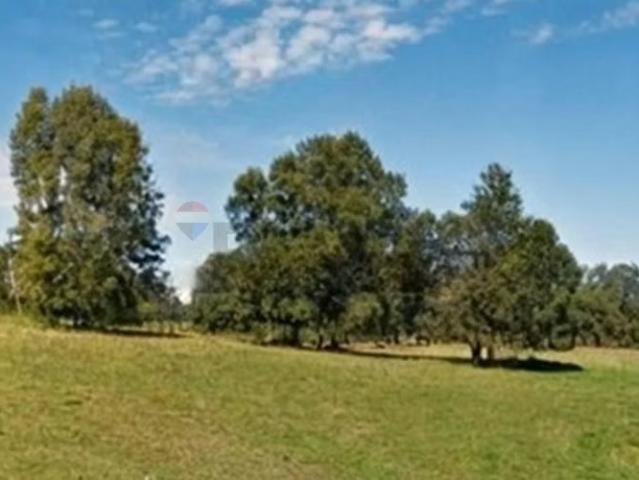 Casas en arriendo en Osorno | Campo productivo | 42,32 ha osorno 1 dormitorios por CLP 19044. 00