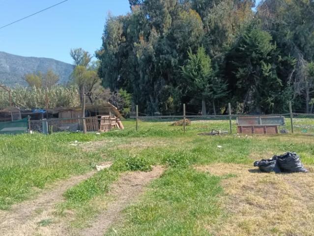 Casas en arriendo en paine | se arrienda cabaña paine amplio patio champa dario pavez por panaderia aura 2 dormitorios por clp 390000.00