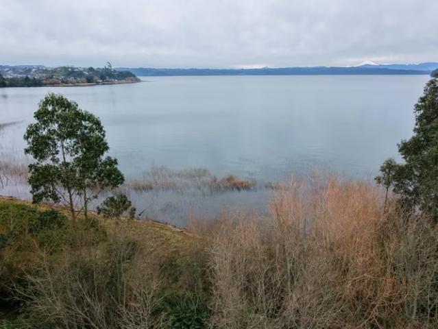 Casas en arriendo en Puerto Octay | Arriendo Año Corrido · Cabaña Nueva 2D/1B en 4 Há de Bosque con Acceso Privado al Lago Llanquihue 2 dormitorios por CLP 550000.00