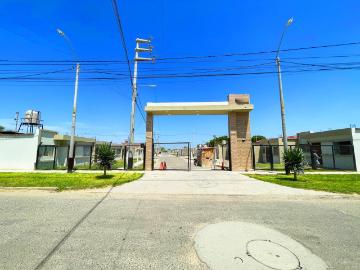 Piura, Castilla, Castilla, Provincia de Piura, Departamento de Piura