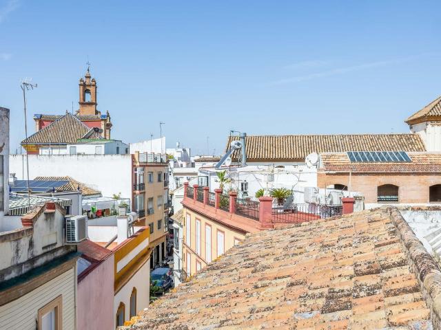 Casas o chalets, Alquiler
