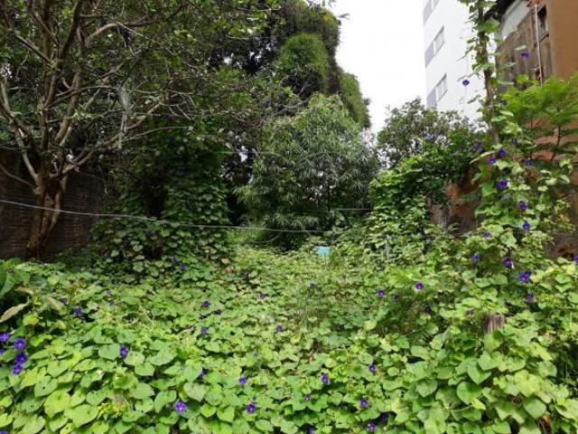 Casas Padrão em Poços de Caldas
