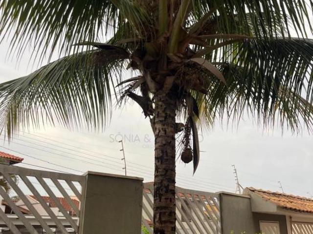 Casas Residenciais Padrão em Ribeirão Preto