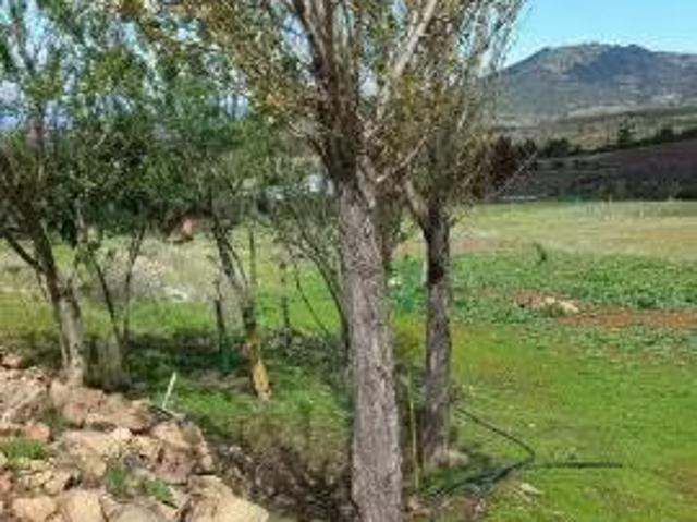 Casa/Parcela, 10000 m2, Carrizal, San Javier, Maule | 4 dormitorios por 4280.00 en San Javier