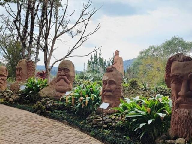 Casarão à venda na Linha Brasil em Nova Petropolis RS