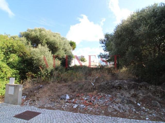Cascais Cascais 2755 104955421