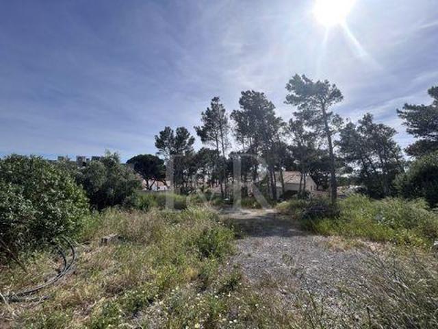 Cascais Lisboa 2755 245 101457446