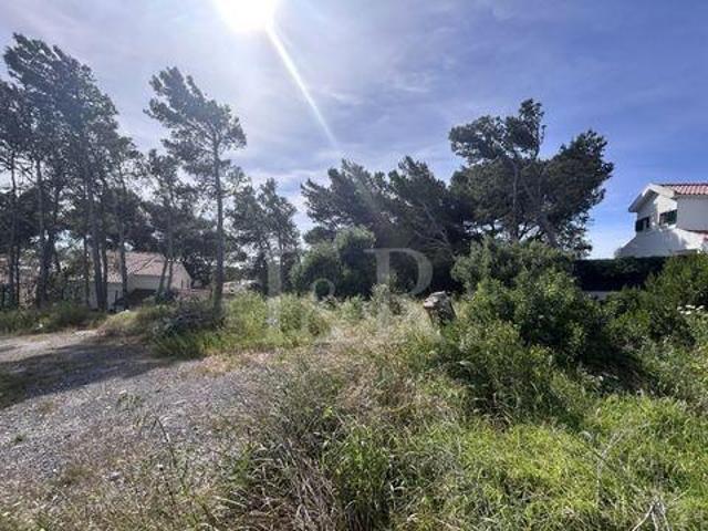 Cascais Lisboa 2755 245 101457448