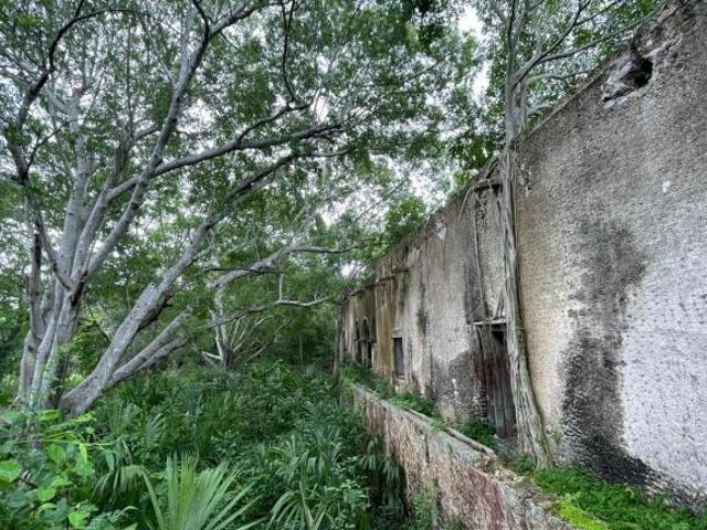 Casco de Hacienda en venta con cenotes a 20 mins de Mérida, en Tecoh. 4