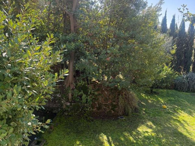 Case e ville in affitto di 500 m² in Via di Villa Zingone