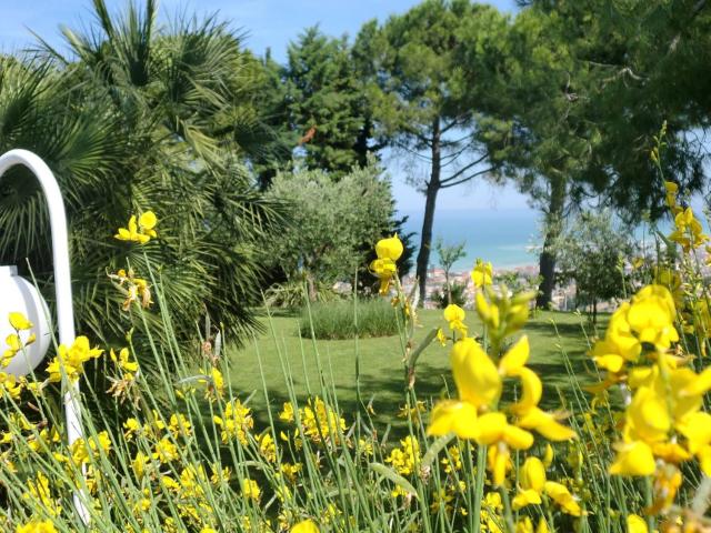 Case e ville in affitto di 1100 m²