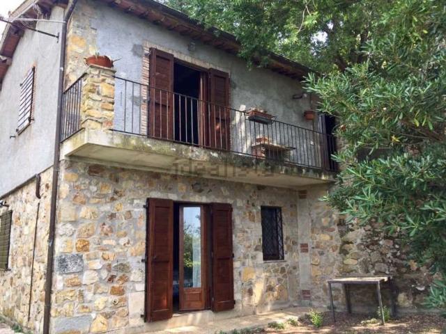 Case e ville in affitto di 120 m² in Strada Provinciale Capalbio