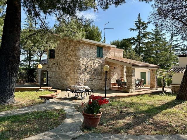 Case e ville in affitto di 150 m² in Viale Posta Milella