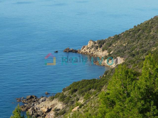Case e ville in affitto di 160 m² in Via Cala di Forno