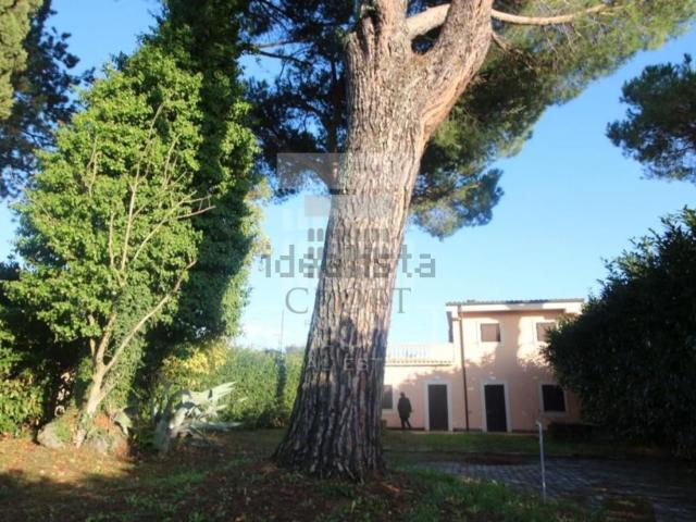 Case e ville in affitto di 210 m² in Via Cassia