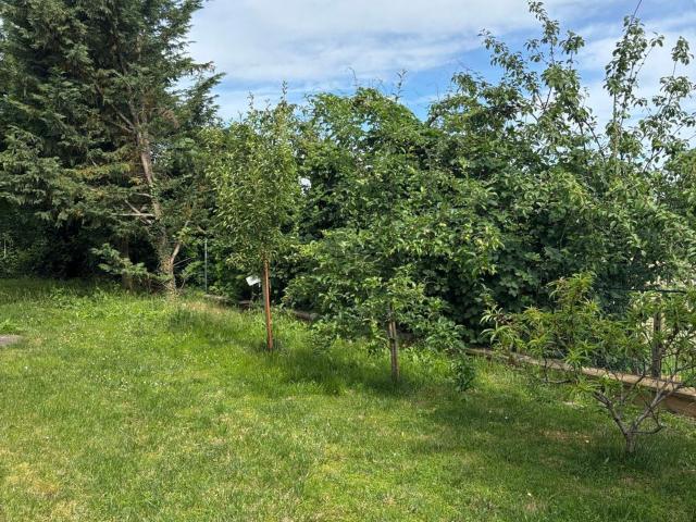 Case e ville in affitto di 220 m²