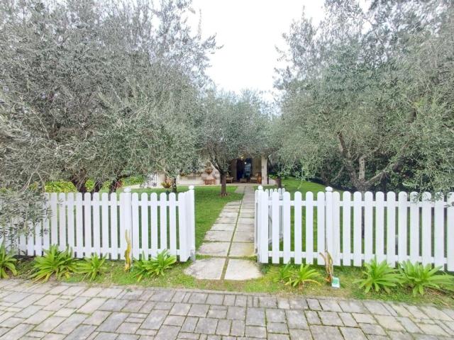 Case e ville in affitto di 240 m² in Via Francesco Carrara, 27