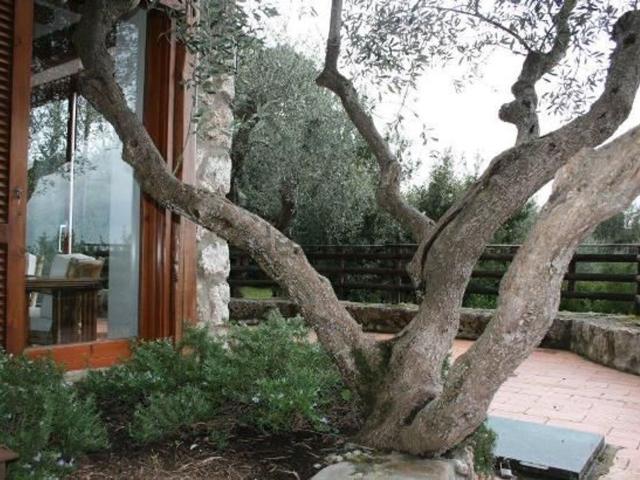 Case e ville in affitto di 250 m² in Via del Fiordaliso
