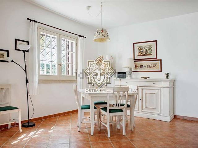 Case e ville in affitto di 300 m² in Via del Luccio