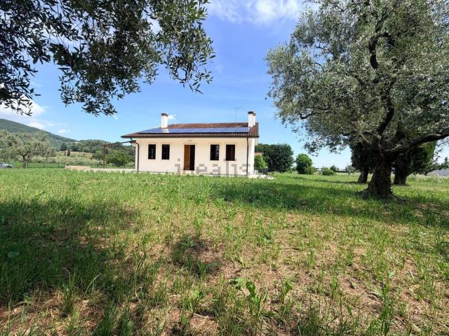 Case e ville in affitto di 315 m²