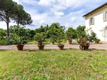 Pinete, Lucca Toscana, Toscana