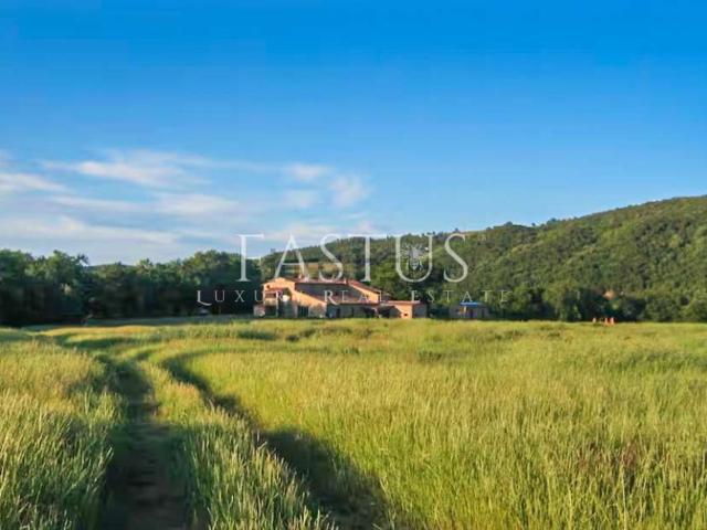 Case e ville in vendita di 526 m² in Località Podere Porcile