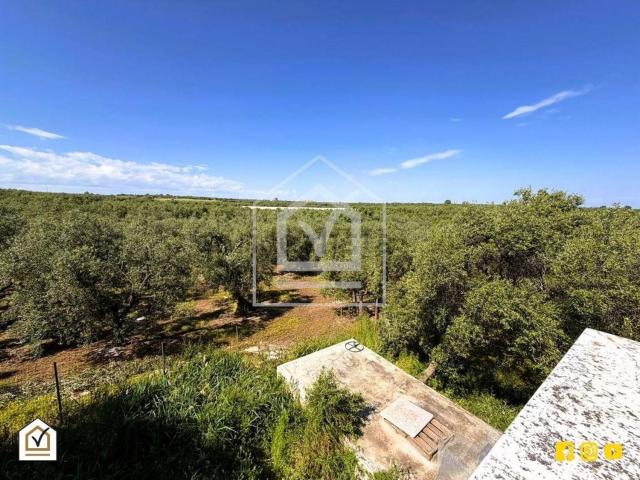 Case e ville in vendita di 6060 m²