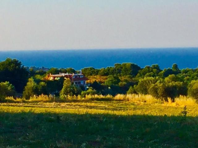 Case e ville in vendita di 680 m² in Contrada San Michele